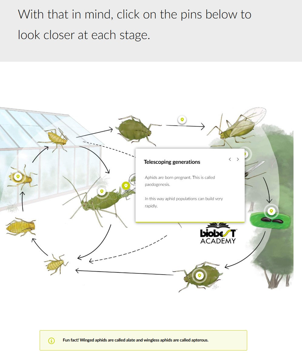 Save 25% - Advanced Thrips, Aphids, Whiteflies and Spider Mites courses (ENGLISH)