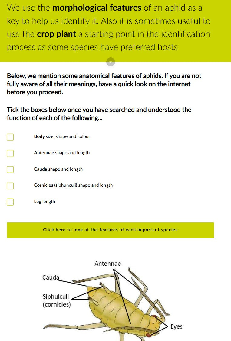 Save 25% - Advanced Thrips, Aphids, Whiteflies and Spider Mites courses (ENGLISH)