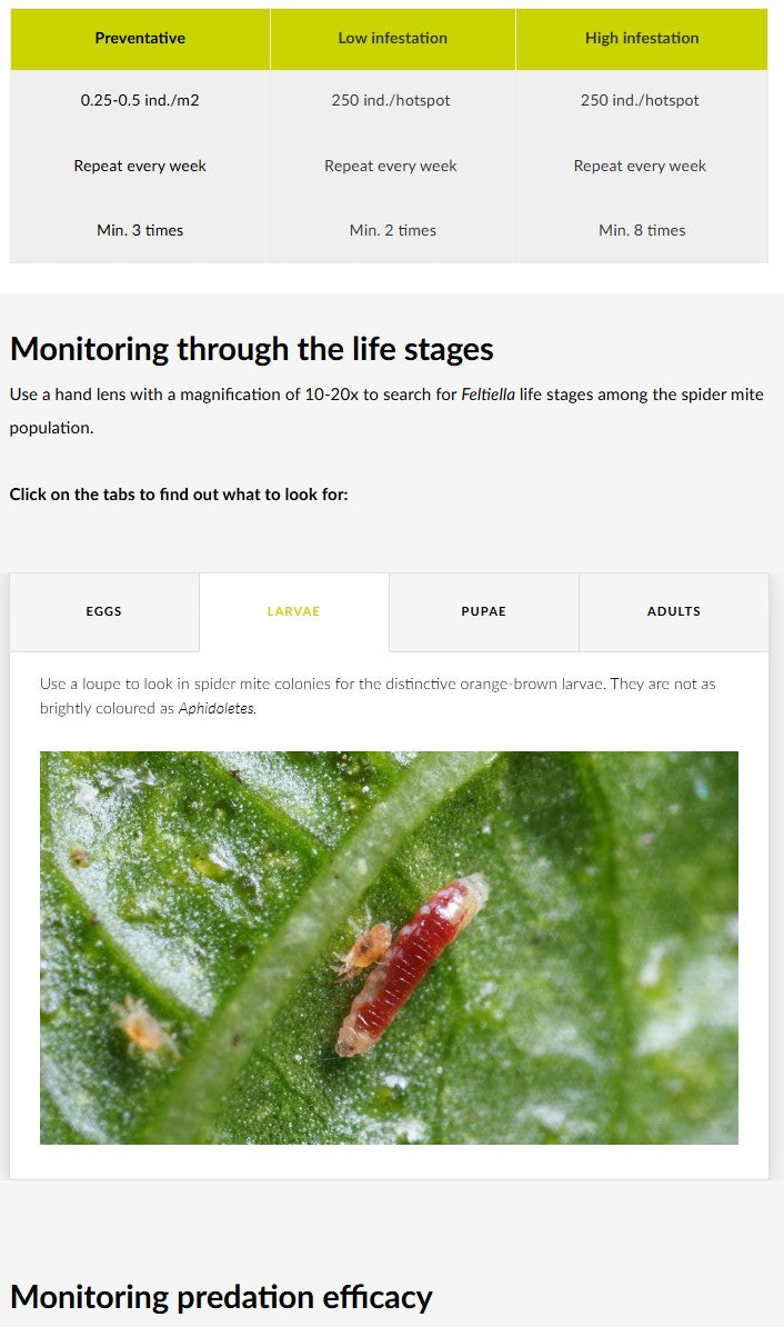 Save 25% - Advanced Thrips, Aphids, Whiteflies and Spider Mites courses (ENGLISH)