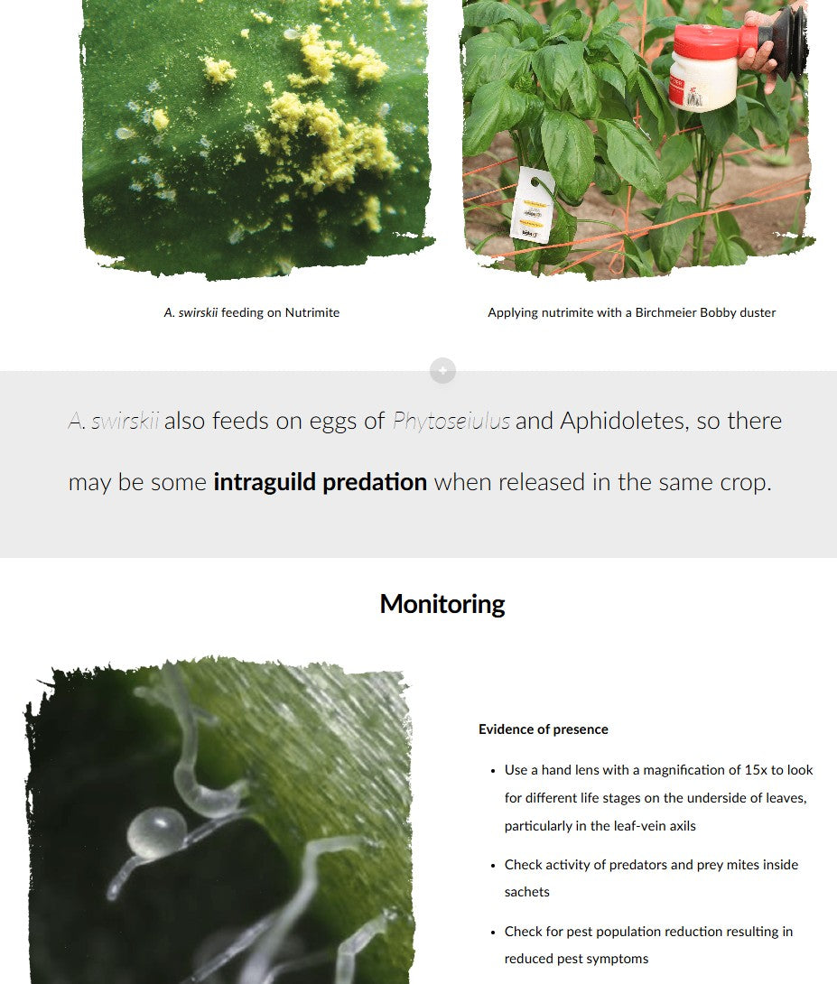 Save 25% - Advanced Thrips, Aphids, Whiteflies and Spider Mites courses (ENGLISH)