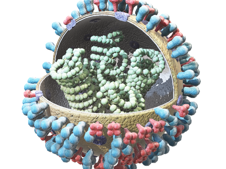 Dealing with plant viruses (VIRAEN0723)