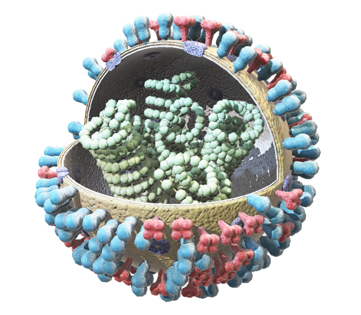 Dealing with plant viruses (VIRAEN0723)