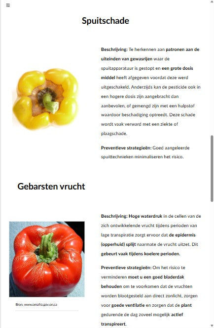Paprika IPM en bestuiving (PEPANL1224)