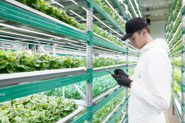 Vertical Farming (VFMBEN0923)