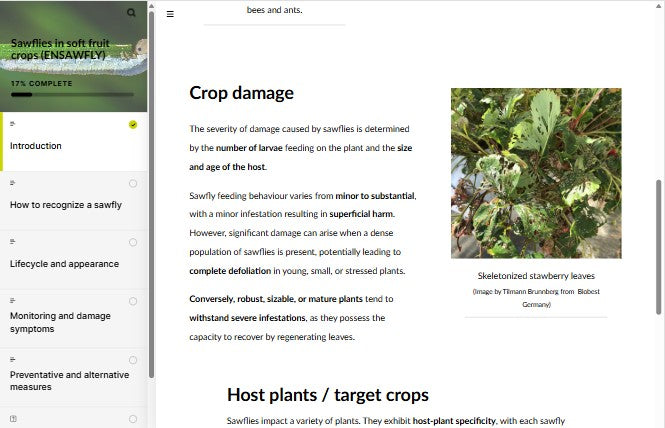 Sawflies on soft fruit crops (SAWAEN0324)