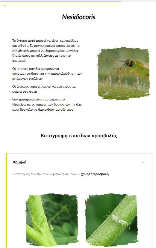 Εισαγωγή στην καλλιέργεια της τομάτας και στις αρχές Ολοκληρωμένης Διαχείρισης Εχθρών (IPM) (TOMBGR0724)