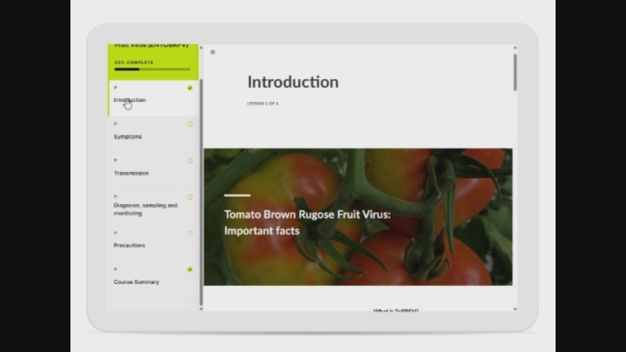 Tomato Brown Rugose Fruit Virus (ToBRFV) TRVAEN0523