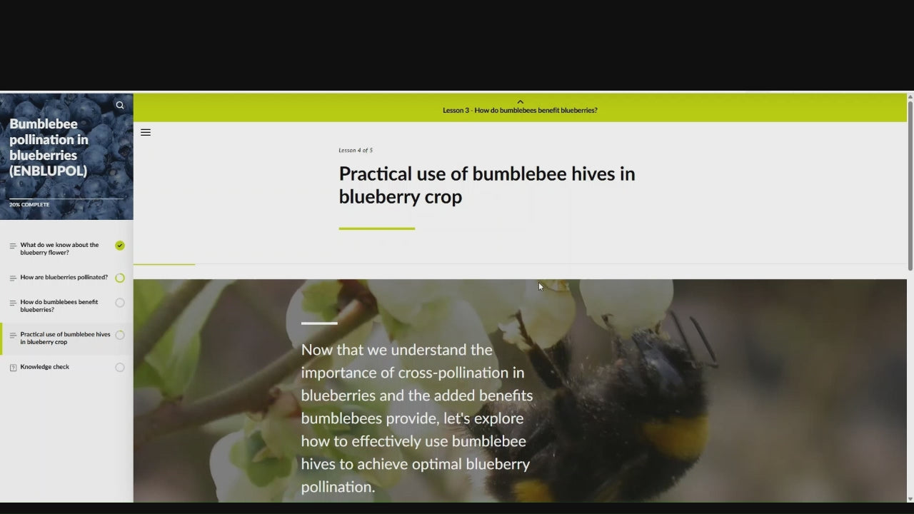 Bumblebee pollination in blueberries (BLPAEN1124)