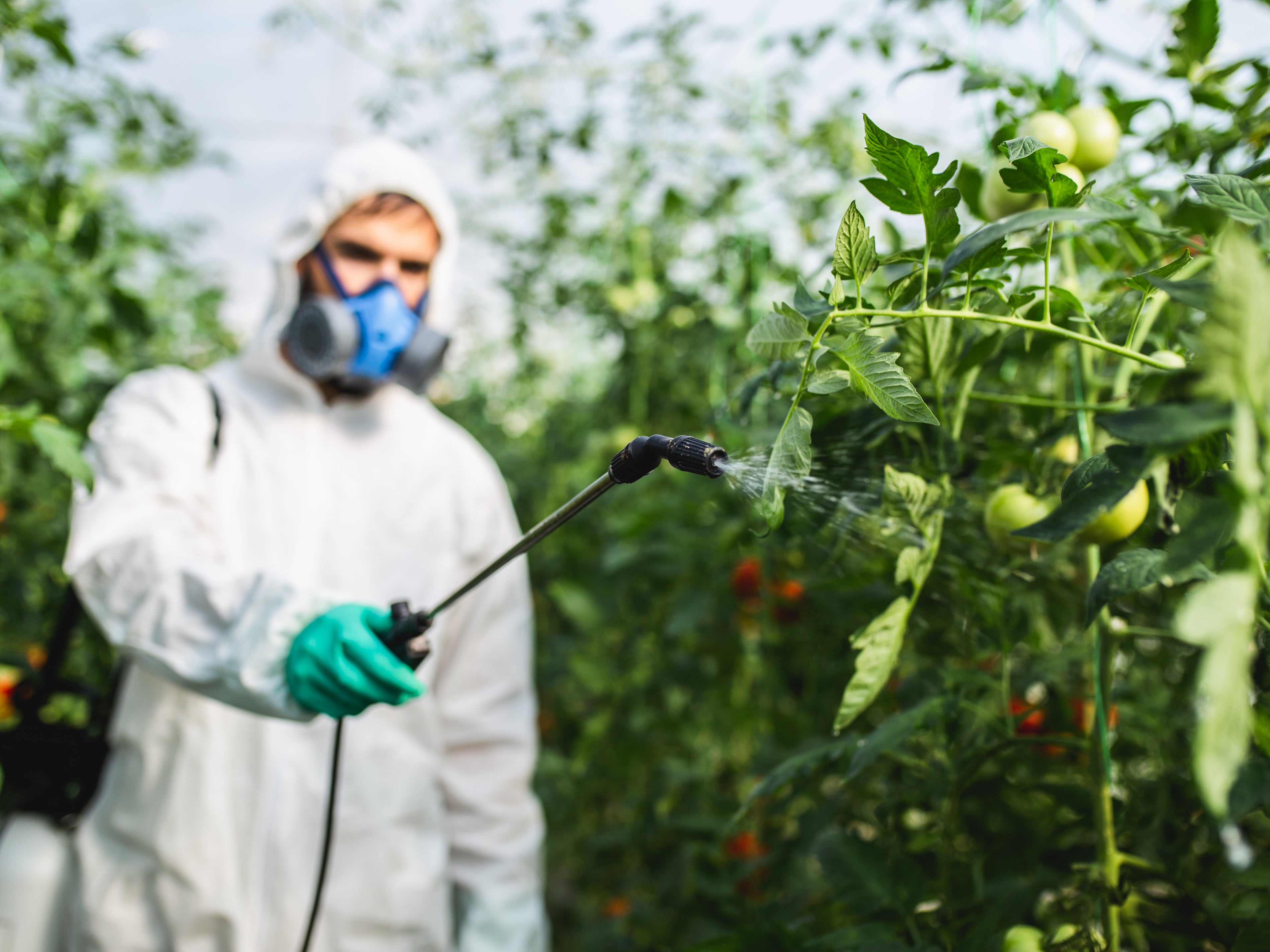Biopesticide application microlearning (BAPAEN0425)