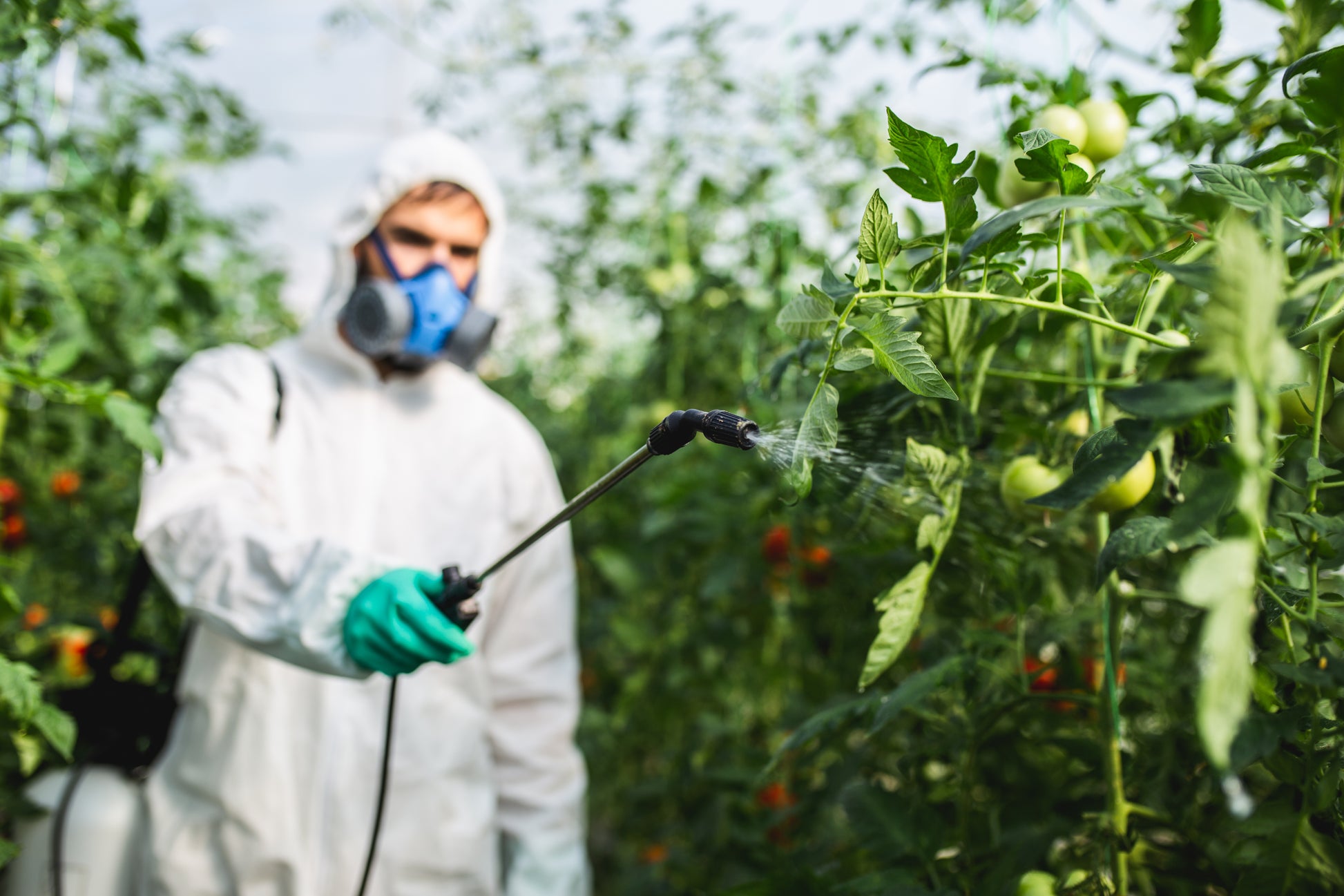 Biopesticide application microlearning (BAPAEN0425)